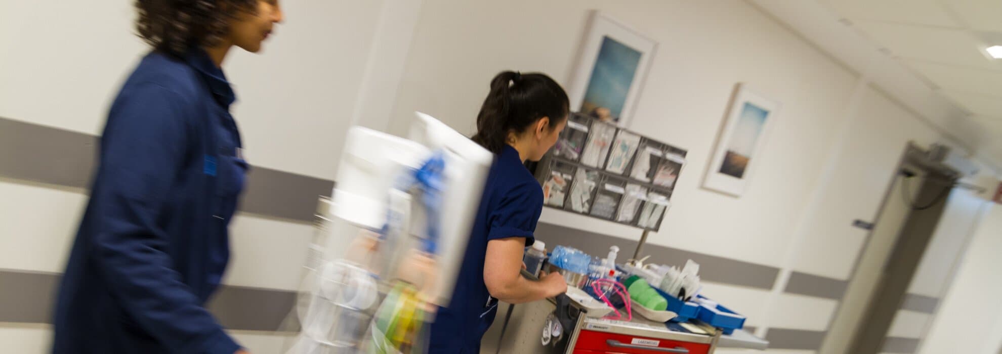 medarbetare medarbetare