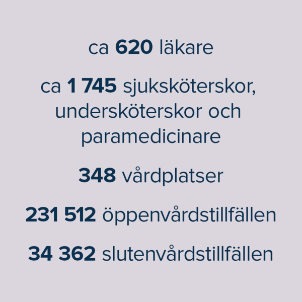 nyckeltal 2022:620 läkare, 1745 sjuksköterskor, 348 vårdplatser, 231512 öppenvårdstillfällen och 34362 slutenvårdstillfällen nyckeltal 2022:620 läkare, 1745 sjuksköterskor, 348 vårdplatser, 231512 öppenvårdstillfällen och 34362 slutenvårdstillfällen
